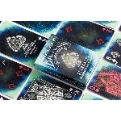 Bicycle Stargazer Observatory Playing Cards