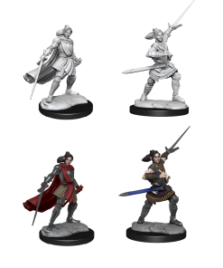 Critical Role Mini Half-Elf Pally Xhorhas Female Miniatures