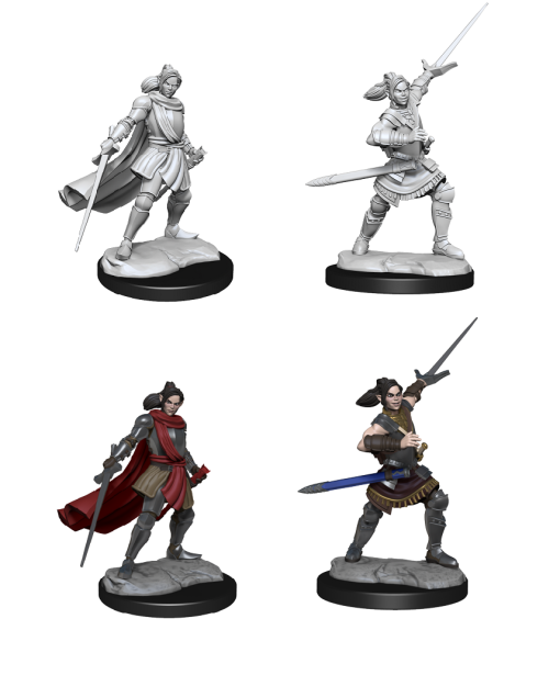 Critical Role Mini Half-Elf Pally Xhorhas Female Miniatures