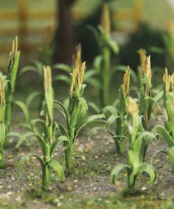 Corn Stalks 30 pack