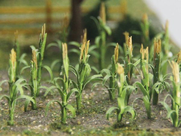 Corn Stalks 30 pack