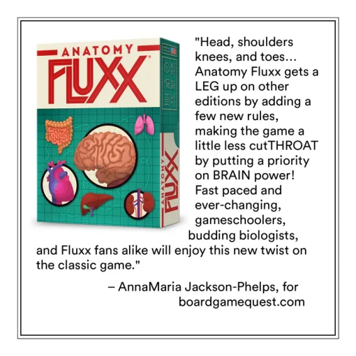 Anatomy Fluxx - Image 2