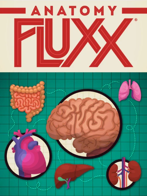 Anatomy Fluxx - Image 6