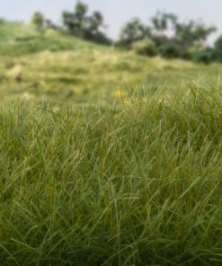 Grasses, Crops and Turf