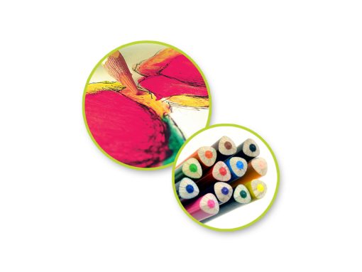 Color Factory Tool: Color Pencils x12 Premium 3.0mm - Image 4