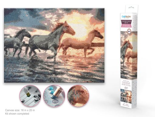 Diamond Painting Art Kit 15.8"x19.7" w/Gems+Tool+Tray - Horses