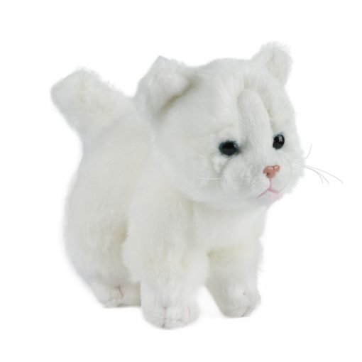 Living Nature - Cat - Small Assorted - Image 10