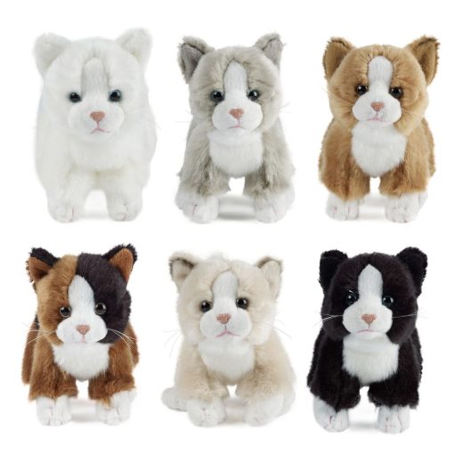 Living Nature - Cat - Small Assorted - Image 2