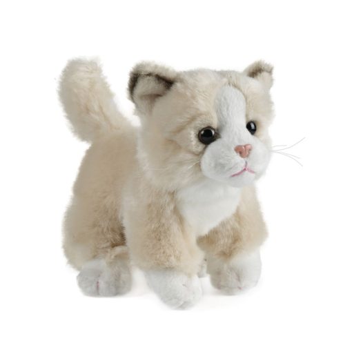 Living Nature - Cat - Small Assorted - Image 6