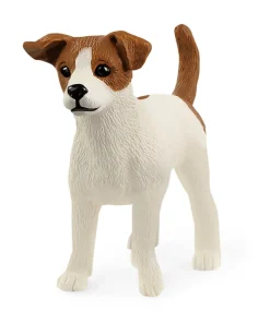 Jack Russell Terrier