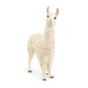 Llama