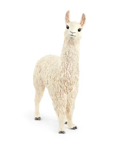 Llama