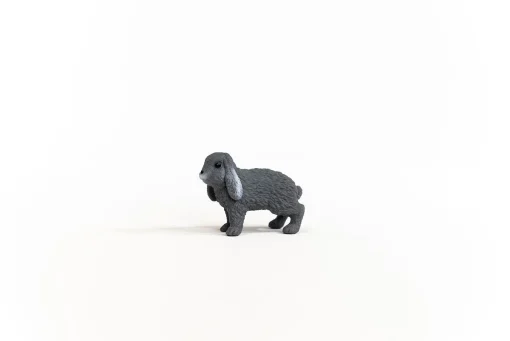 Lop-Eared Rabbit - Image 2