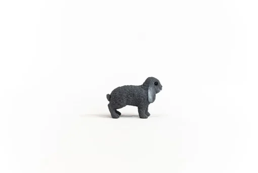 Lop-Eared Rabbit - Image 4