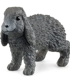 Lop-Eared Rabbit
