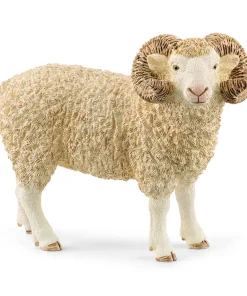 Ram
