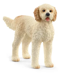 Goldendoodle