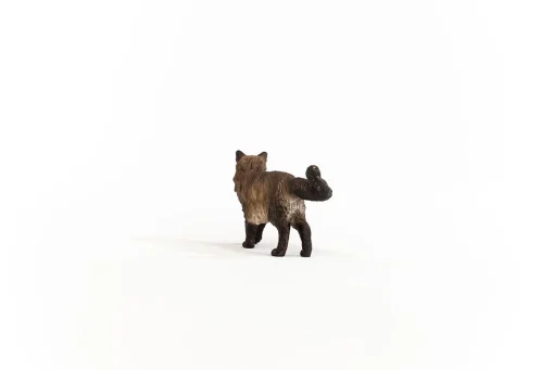 Ragdoll Cat - Image 3
