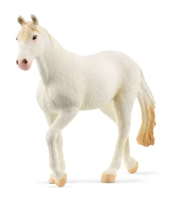 Camarillo Mare