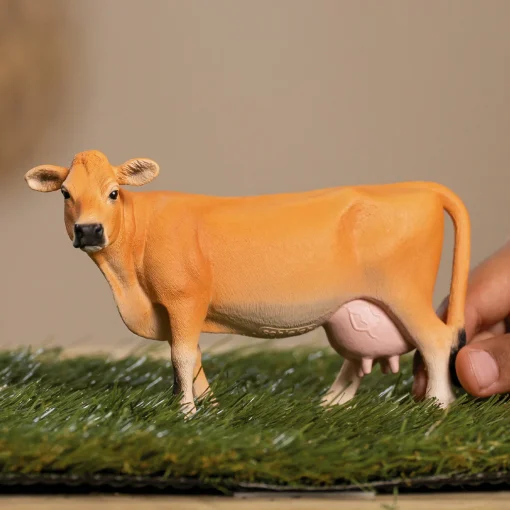 Jersey Cow - Image 2