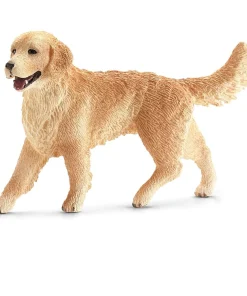 Golden Retriever, female