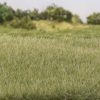 Static Grass - Light Green - All Game Terrain
