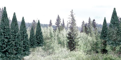Blue Spruce Tree Value Pack - Ready Made Trees(TM) -- 4 to 6" 10.2 to 15.2cm pkg(13)