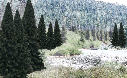 Evergreen Tree Value Pack - Ready Made Trees(TM) -- 2 to 4" 5.1 to 10.2cm pkg(18)