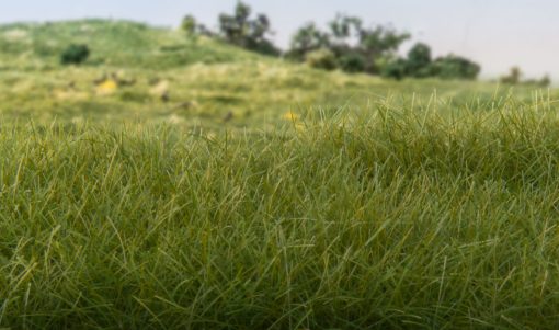 Static Grass - Dark Green - Field System - Woodland Scenics