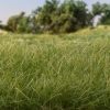 Static Grass - Medium Green - Field System - Woodland Scenics