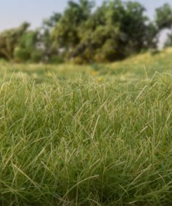Static Grass - Medium Green - Field System - Woodland Scenics