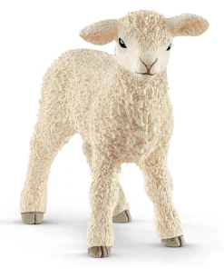 Lamb