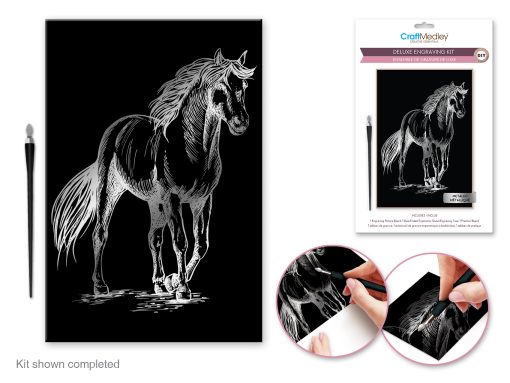 Craft Medley Kit: Deluxe Engraving Art DIY Kit - Image 5