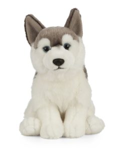 Living Nature - Husky