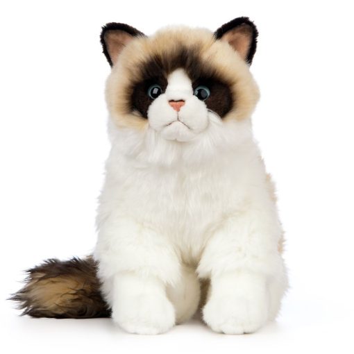 Living Nature - Ragdoll Cat - Image 3