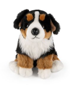 Living Nature - Bernese Mountain Dog