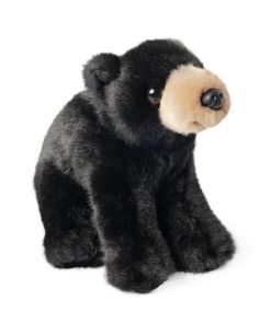 Living Nature - Black Bear Cub