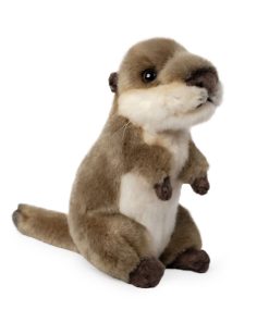 Living Nature - Otter Cub