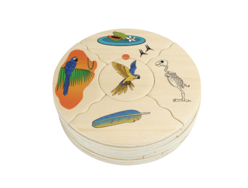 Animal Species - Nawito - Image 4