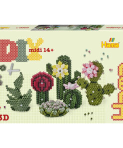 Art - Succulents – HAMA