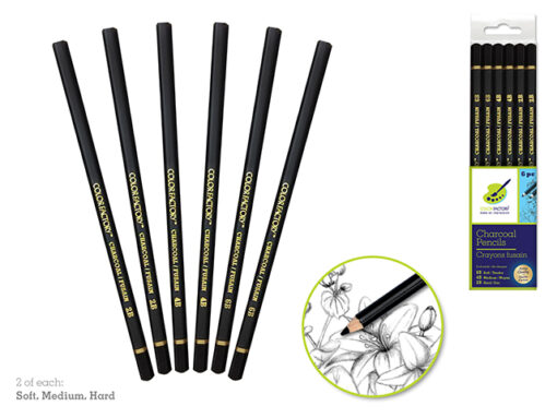 Charcoal Pencils 6pcs (Soft/Med/Hard) - Image 2