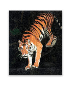 Bengal Tiger - Diamond Painting Art Kit - 15.8"x19.7" w/Gems+Tool+Tray