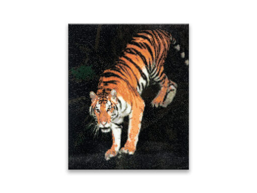 Bengal Tiger - Diamond Painting Art Kit - 15.8"x19.7" w/Gems+Tool+Tray