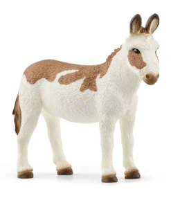 American Spotted Donkey