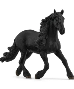 Friesian Stallion