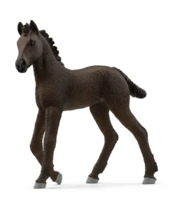 Friesian Foal