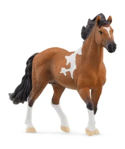 Mangalarga Marchador Stallion