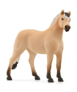 Norwegian Fjord Horse Gelding