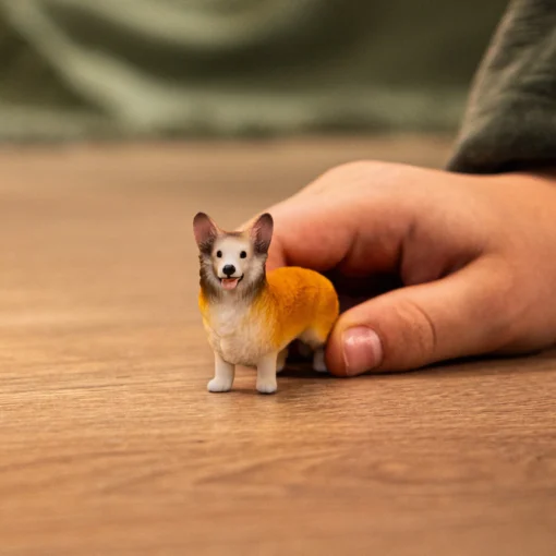 Welsh Corgi - Image 2