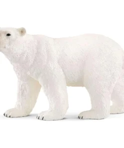 Polar bear